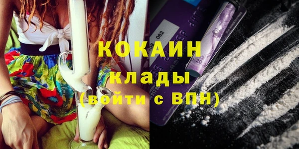 амф Горняк
