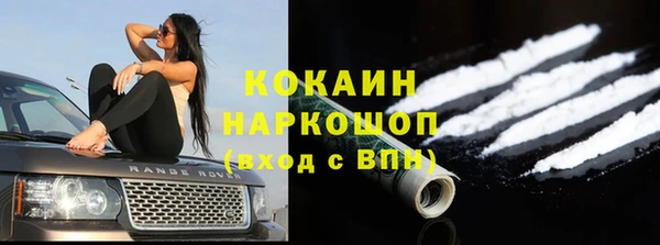 амф Горняк