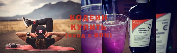 амф Горняк