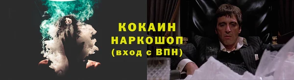 амф Горняк