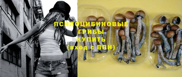 амф Горняк