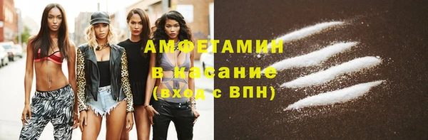 амф Горняк