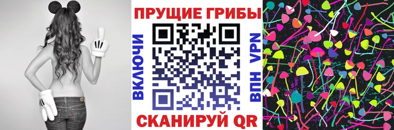Галлюциногенные грибы Psilocybe  Новочеркасск 